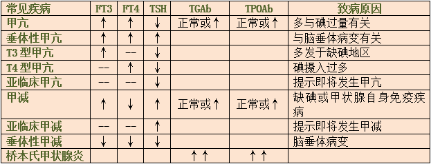 如何解讀甲狀腺功能五項結(jié)果